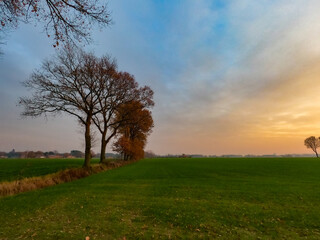 Fototapeta premium Dramatic and colorful Sunrise or sunset on a field covered with young green grass and yellow flowering dandelions in springtime. Sunbeams making their way through the clouds. High quality photo
