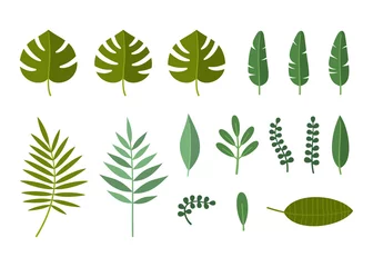 Poster Tropische bladeren Tropische plant en palmbladeren Set. Vector