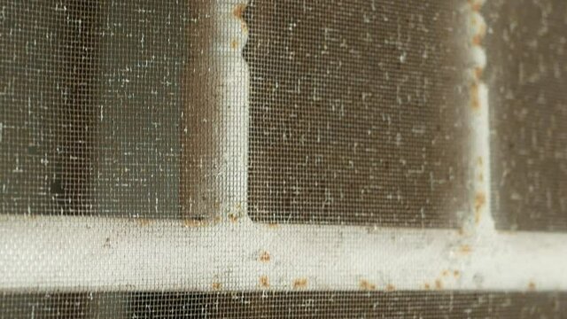 Close-up view of the dusty mosquito net on the door.