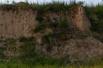 cliff of a clay hill with bird holes at sunset