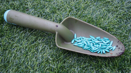 Closeup shot of a small plastic shovel with blue seeds