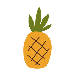 tropical pineapple nutrition fresh natural summer holiday fruit vector illustration drawn