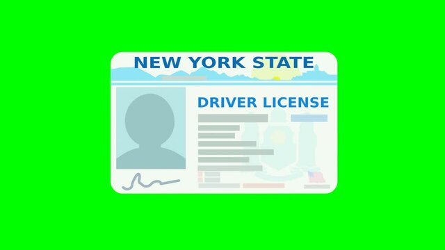 A hand presents a New York state driver's license on a green background (flat design)	