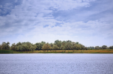 View on Rhine river with trees