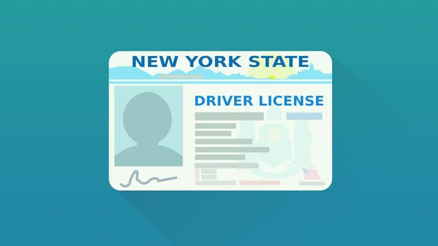 A hand presents a New York state driver's license on a blue background (flat design)	