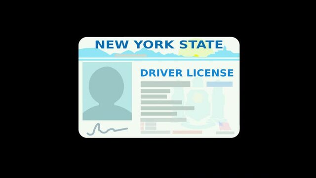 A hand presents a New York state driver's license with alpha channel (ONLY in 4K) (flat design)	
