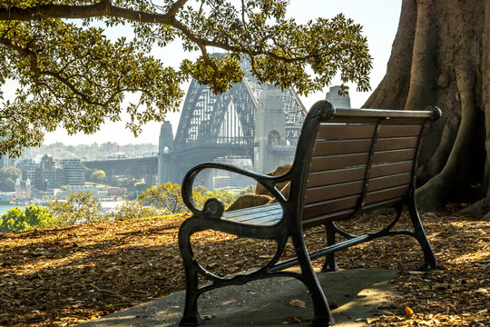 Wooden bench seat overlooking Sydney Harbour