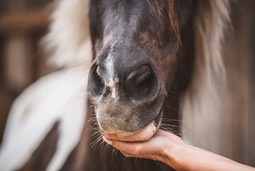 Berührungen © Petra Fischer