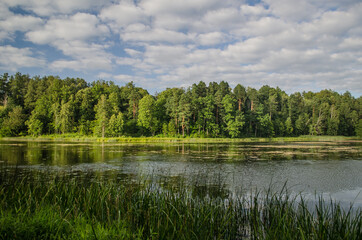 Kazdanga village mill lake in sunny summer day, Latvia.