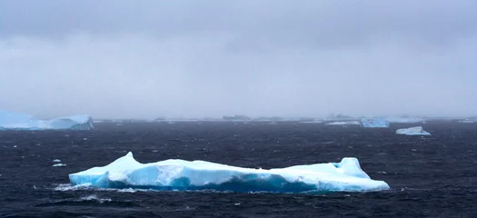 Foto auf Leinwand IJsberg, Iceberg - Antarctica © AGAMI