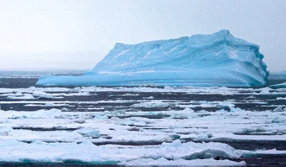 Foto auf Leinwand Drijfijs Antarctica, Drift ice Antarctica © AGAMI