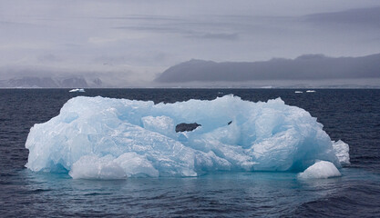 IJsberg Wedellzee Antarctica, Iceberg Wedell Sea Antarctica © AGAMI