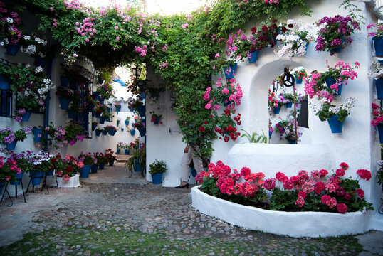 patios de cordoba en mayo patrimonio de la humanidad