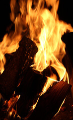 Burning Logs In Flame Close Up Vertical Photo 