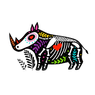 Vector colorful rhino skeleton with floral design, isolated on white background. Dia de los Muertos, Day of the dead or Halloween concept