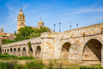 Fototapeta premium Roman bridge and Cathedral in Salamanca