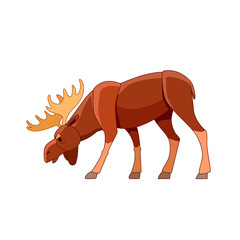 Bull moose grazing in the wild forest. Wildlife scene with elk. Cartoon character vector flat illustration isolated on white background