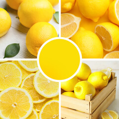 Collage of fresh lemons with color sample