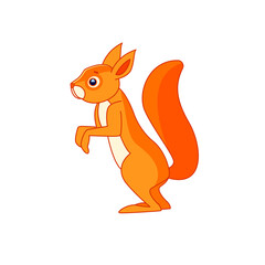 Fototapeta premium Cute Squirrel stands and watches curiously. Cartoon character of a mammalian rodent. A wild forest creature with orange fur. Side view. Vector flat illustration isolated on a white background