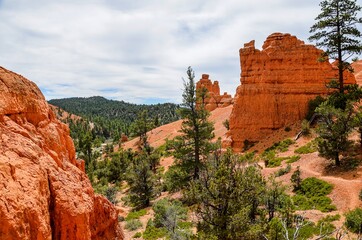 Red Canyon, Utah