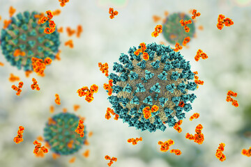 Antibodies attacking SARS-CoV-2 virus, corona virus, COVID-19 viruses - obrazy, fototapety, plakaty