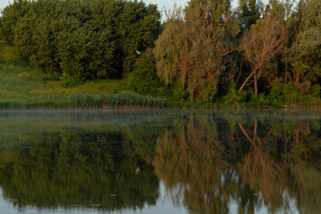 beautiful summer landscape of trees reflected in the water of the lake in a field between the hills