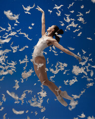 Graceful young beautiful girl, female ballet dancer flying isolated over blue background with white feathers.