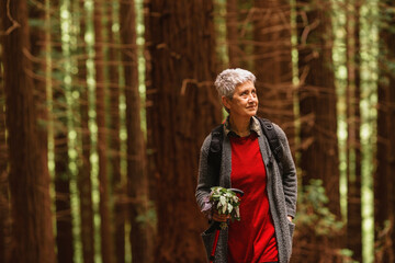 Smiling senior woman hiking in the redwood forest. pensioner exercising. old age and healthy lifestyle. sports in the elderly. - obrazy, fototapety, plakaty