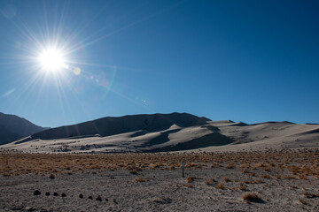 sand dunes in the desert