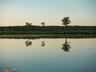 Obraz na płótnie Canvas Sunset behind three trees reflecting in lake