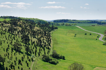 Schafherde am  Kalvarienberg und Wacholdergebiet bei Alendorf / Eifel/ Deutschland