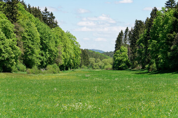 Fototapeta na wymiar Naturschutzgebiet Lampertstal in der Eifel