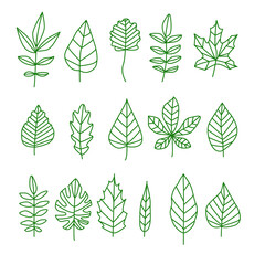 Botanical doodle leaves element. Green line hand drawn elements. Vector illustration icons logo highlight for social media stories. Tropical decor border pattern backdrop. Wrapping paper minimalist