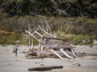 Fototapeta na wymiar Driftwood Leanto on Beach