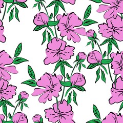 Seamless pattern hand drawn pink peonies background of flowers print for textiles vector