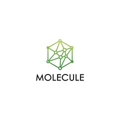 Fototapeta premium molecule logo design template .