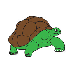 cute turtle cartoon illustration walking like real