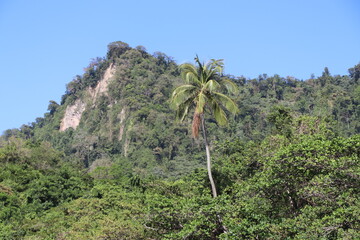 Fototapeta premium Plage Anse Couleuvre Martinique Antilles Françaises Caraïbes