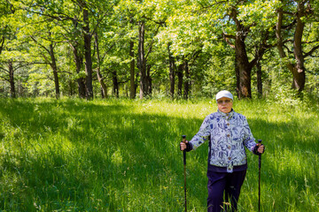Sports Nordic walking. An elderly woman is engaged in Nordic walking in the forest.
