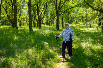 Sports Nordic walking. An elderly woman is engaged in Nordic walking in the forest.