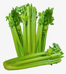Isolated celery sticks. Four juicy celery sticks on a white background