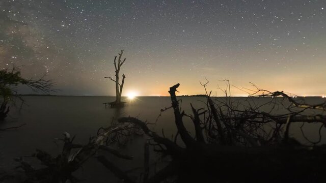 Milky Way Time Lapse on a slider moving through debris and fallen trees along the bay at Assateague Island National Seashore in Maryland