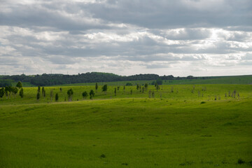 field and blue sky