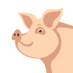 Obraz na płótnie Canvas funny pig, vector illustration, flat style, side