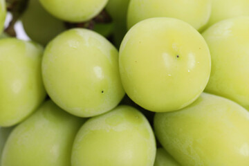 Green grape isolated in white background