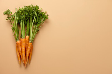 Bunch of fresh carrots on beige background