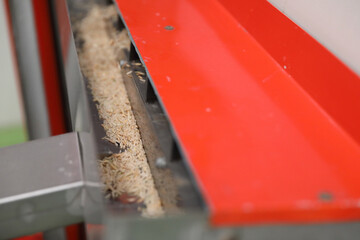 Factory machine Milling rice in close up
