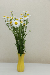 White daisies. bouquet of daisies in a yellow vase