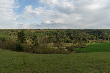 Landschaft im Sommer