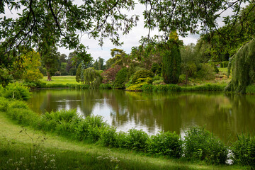 Fototapeta na wymiar Lake surrounded by trees and shrubs in summer